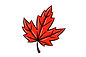 Maple Leaf.jpg