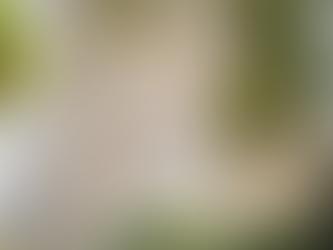 本年も誠にありがとうございました