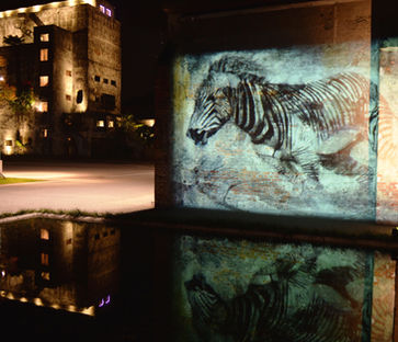 Projection of a Grevy's zebra sprinting above a pool of water