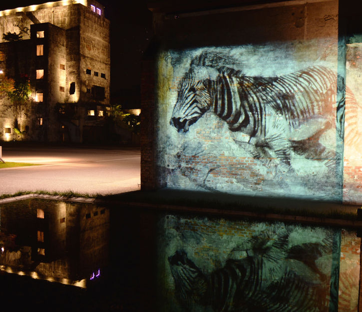 Projection of a Grevy's zebra sprinting above a pool of water