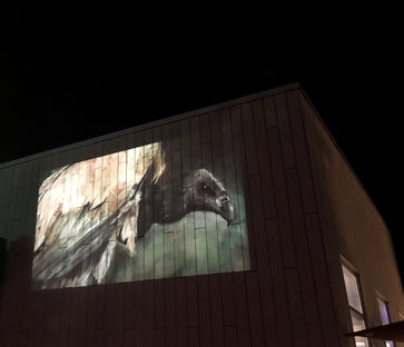 A projection of a white backed vulture at the Phoenix Zoo in Phoenix, AZ