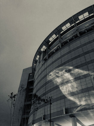 Eurasian otter projected on the side of NTSEC, Taipei Taiwan