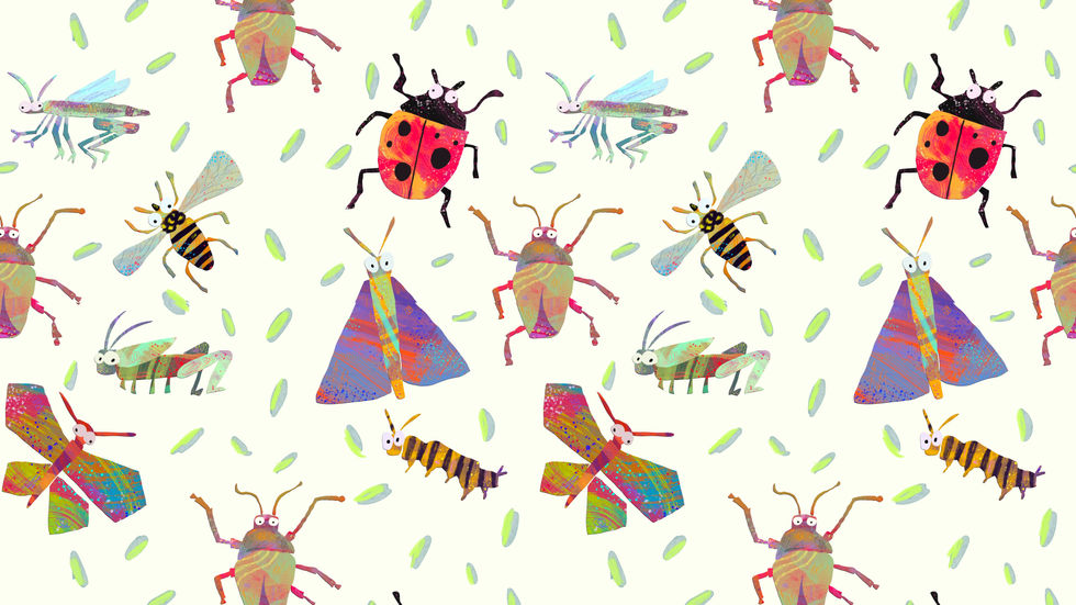 Patterns 