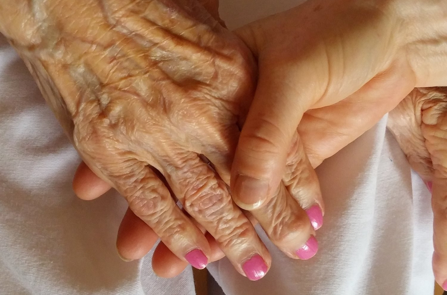 Companion Services For Seniors logo