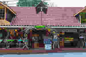 El Sano Banano