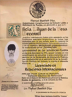 Título de Licenciatura en Relaciones Internacionales, por la Universidad de las Américas-Puebla.