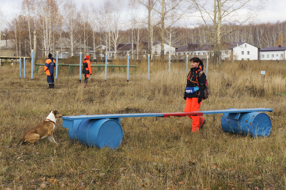 010_Сборы в Коченёво 2014