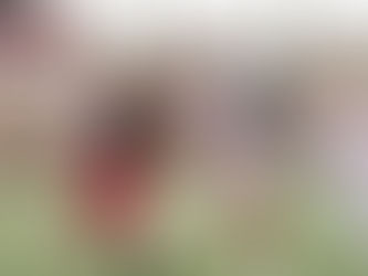 Head Injury – What You Need to Know