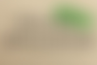 Class of 2019 College Acceptances