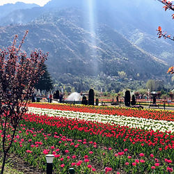 Kashmir Image
