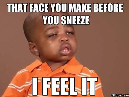 Best-MEME