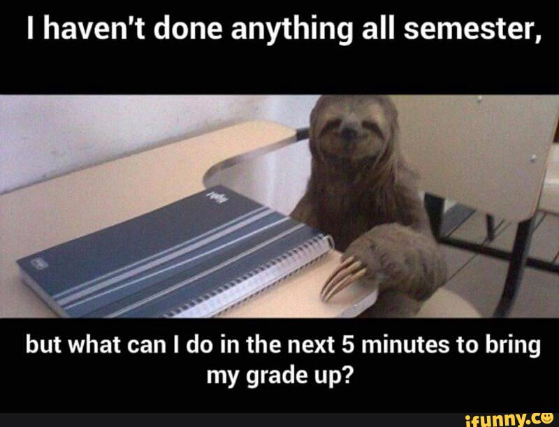 sloth