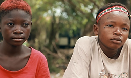 Capture d’écran 2022-05-11 113911.png