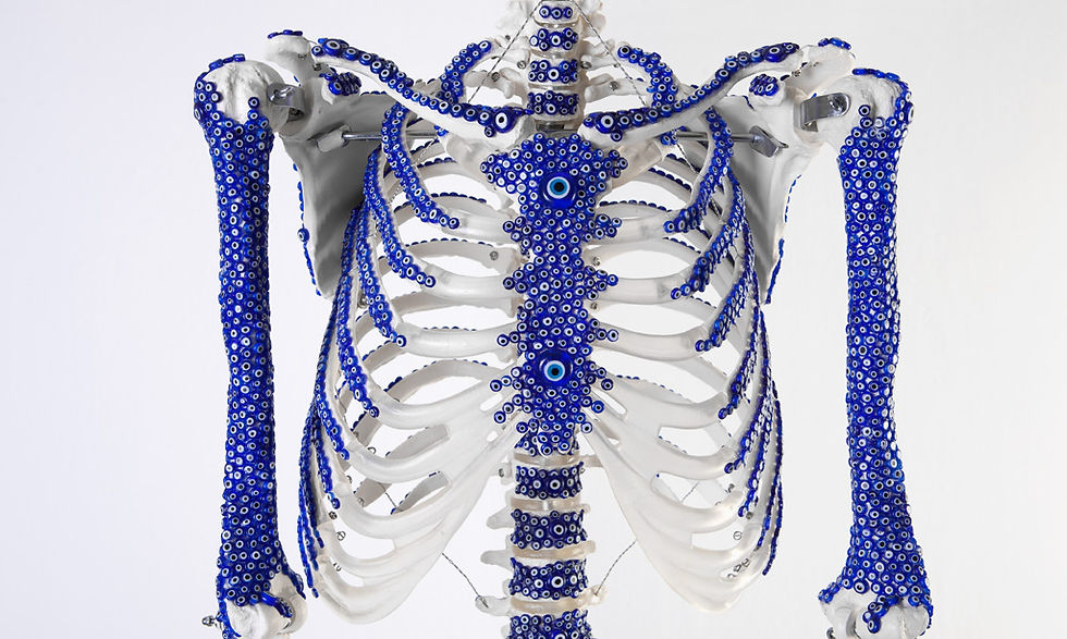 Mr. Bones
