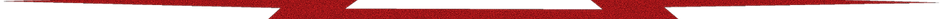 bottom logo_edited_edited_edited.png