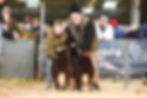 Winter Fair 