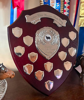 bricklin shield.jpg