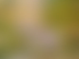 חשיבה לוגית מול חשיבה אימפרסיוניסטית במצבי לחץ