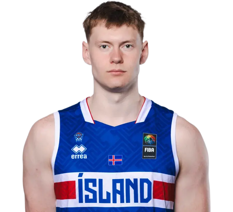 Ludviksson.webp