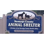 animal shelter