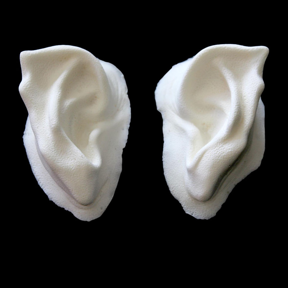 Thumbnail: Vakmero Demon Set, horn, brow, ears, foam latex special effects prosthetic makeup appliance