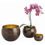 Thumbnail: ALESSANDRIA Containers by Arteriors