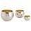 Thumbnail: ALESSANDRIA Containers by Arteriors