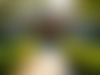 Enhance Curb Appeal with Expert Exterior Construction