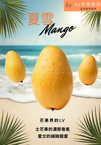 芒果夏日度假風海報_20260617_132839_0000.png