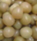 Pickled Tomatoes