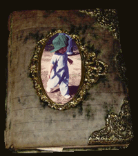 Photo-Album---Amanda - web.gif