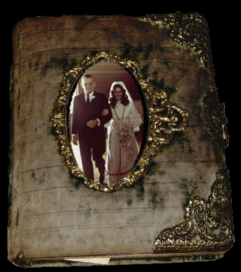 Steve & Karen's Wedding.gif