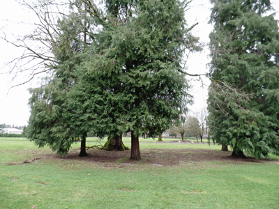 Park-Hill-Cemetery---Berger-Area.gif