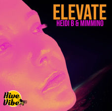 COVER ART ELEVATE.jpg