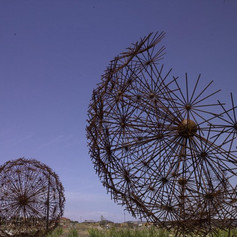 Symbiosis (2004) - Matthew Harding (Late).jpeg