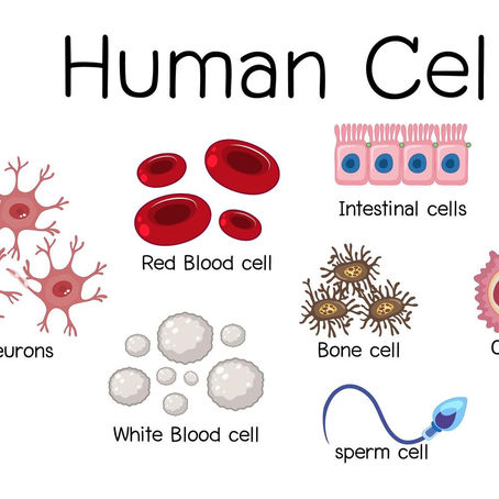 Semana 20: 25 enero - 29 enero