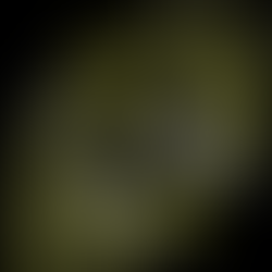 Desarrollo de un embrión