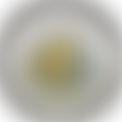 GOVERNOR GREEN ANNOUNCES COORDINATED RELIEF EFFORT TO PROTECT HAWAIʻI FAMILIES FROM FEDERAL SHUTDOWN IMPACTS: Support for Housing and Utility Payments