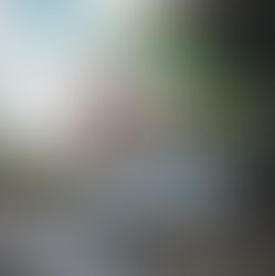 Vendor Opportunity for Kaukau 4 Keiki Summer Food Program