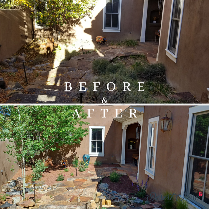 Transformation Tuesday: A Little TLC