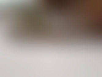 Building A Raised Flowerbed