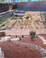 Transformation Tuesday: Desert-Inspired Redesign