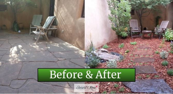 Transformation Tuesday 06/04/2019