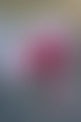 Question of the Week 01/02/2020