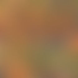 Plant of the Week 11/08/2019