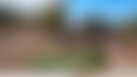 Transformation Tuesday 05/07/2019