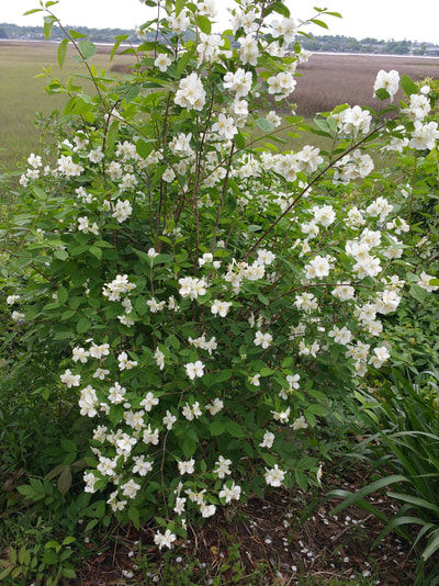 Transformation Tuesday 11/22/2019