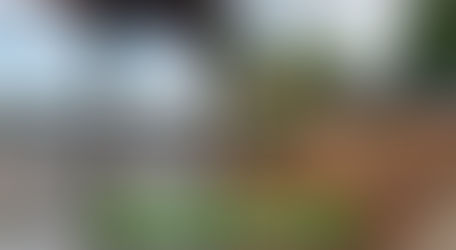 Transformation Tuesday 03/26/19