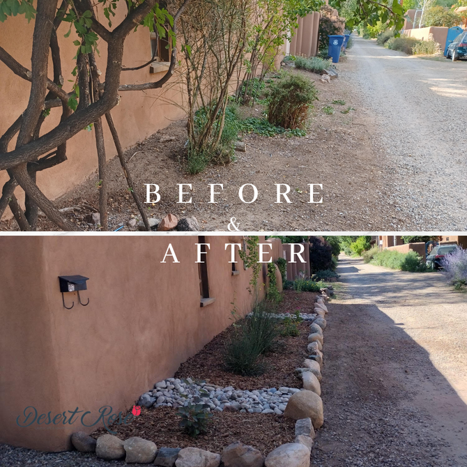 Transformation Tuesday: Team Effort