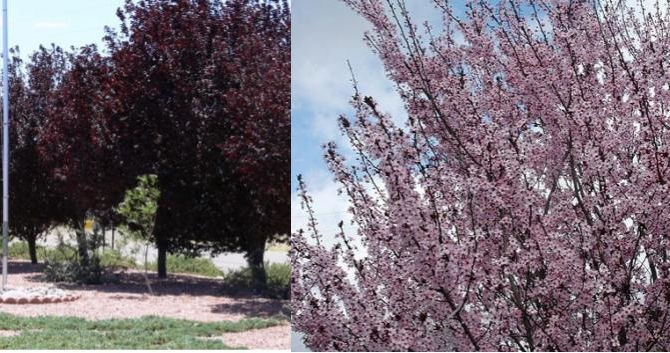 Phil's Favorite 04/13/2018